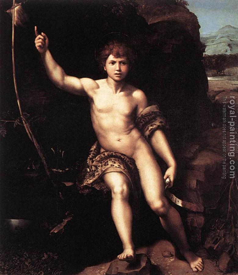 Raphael : St John the Baptist
